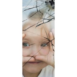 Easyprotec Fensterfolie Permanent Haftend 90x250 cm Transparent