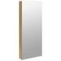 vidaXL Spiegel-Schmuckschrank mit LED-Beleuchtung Wandmontage vidaXL Spiegel-Schmuckschrank mit LED-Beleuchtung Wandmontage