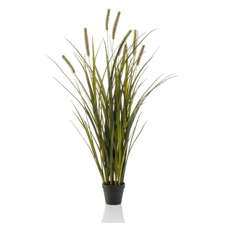 Emerald Künstliches Cattailsgras 100 cm Topf Emerald Künstliches Cattailsgras 100 cm Topf