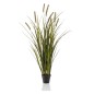 Emerald Künstliches Cattailsgras 100 cm Topf Emerald Künstliches Cattailsgras 100 cm Topf