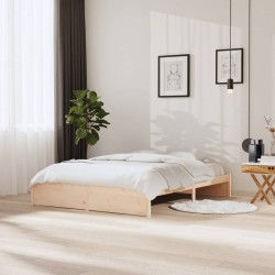 vidaXL Massivholzbett 160x200 cm