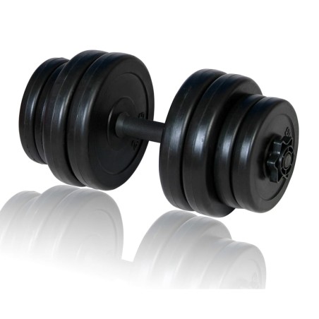 vidaXL Hantel 1 Stk. 15 kg