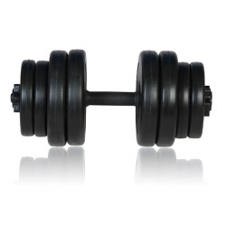 vidaXL Hantel 1 Stk. 15 kg