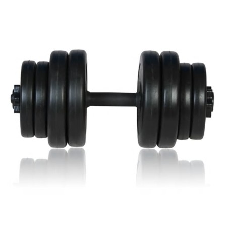 vidaXL Hantel 1 Stk. 15 kg