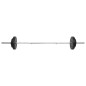 vidaXL Langhantel und Kurzhantel mit Gewichten 60 kg vidaXL Langhantel und Kurzhantel mit Gewichten 60 kg