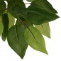 vidaXL Ficusbaum Künstlich 630 Blätter 120 cm Grün vidaXL Ficusbaum Künstlich 630 Blätter 120 cm Grün