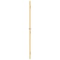 vidaXL Innentür Schlank Golden 76x201,5 cm Hartglas und Aluminium vidaXL Innentür Schlank Golden 76x201,5 cm Hartglas und Aluminium