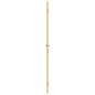 vidaXL Innentür Schlank Golden 83x201,5 cm Hartglas und Aluminium vidaXL Innentür Schlank Golden 83x201,5 cm Hartglas und Aluminium