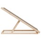 vidaXL Hunderampe Grau 100x40 cm Massivholz Tanne vidaXL Hunderampe Grau 100x40 cm Massivholz Tanne