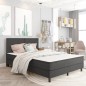 vidaXL Boxspringbett Dunkelgrau Stoff 160x200 cm vidaXL Boxspringbett Dunkelgrau Stoff 160x200 cm