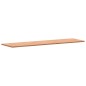 vidaXL Werkbankplatte 200x55x2,5 cm Massivholz Buche vidaXL Werkbankplatte 200x55x2,5 cm Massivholz Buche