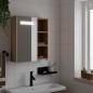 vidaXL Spiegelschrank mit LED-Beleuchtung Eichenoptik 45x13x52 cm vidaXL Spiegelschrank mit LED-Beleuchtung Eichenoptik 45x13x52 cm
