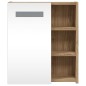vidaXL Spiegelschrank mit LED-Beleuchtung Eichenoptik 45x13x52 cm vidaXL Spiegelschrank mit LED-Beleuchtung Eichenoptik 45x13x52 cm