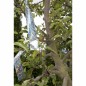 Velda Reflektorband zur Vogelabwehr 45 m 148200 Velda Reflektorband zur Vogelabwehr 45 m 148200