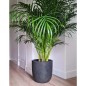 Capi Blumentopf Waste Smooth 35x34 cm Grau Capi Blumentopf Waste Smooth 35x34 cm Grau