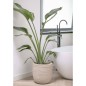 Capi Blumentopf Waste Rib 35x34 cm Terrazzo Beige Capi Blumentopf Waste Rib 35x34 cm Terrazzo Beige