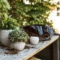 Capi 3-tlg. Blumentopf-Set Nature Rib Kugelform Elfenbein Capi 3-tlg. Blumentopf-Set Nature Rib Kugelform Elfenbein