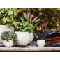 Capi 3-tlg. Blumentopf-Set Nature Rib Kugelform Elfenbein Capi 3-tlg. Blumentopf-Set Nature Rib Kugelform Elfenbein