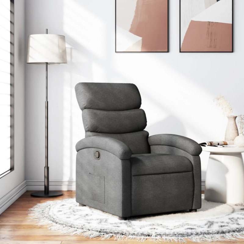 vidaXL Relaxsessel Dunkelgrau Stoff vidaXL Relaxsessel Dunkelgrau Stoff