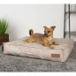 Scruffs & Tramps Hundematratze Kensington Größe M 80x60 cm Creme Scruffs & Tramps Hundematratze Kensington Größe M 80x60 cm Creme