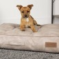 Scruffs & Tramps Hundematratze Kensington Größe M 80x60 cm Creme Scruffs & Tramps Hundematratze Kensington Größe M 80x60 cm Creme