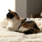 HuggleHounds Fleece-Haustiermatte XXL Wollweiß HuggleHounds Fleece-Haustiermatte XXL Wollweiß