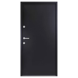 vidaXL Haustür Anthrazit 100x200 cm Aluminium