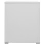 vidaXL Aktenschrank Hellgrau 46x62x72,5 cm Stahl vidaXL Aktenschrank Hellgrau 46x62x72,5 cm Stahl