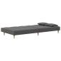 vidaXL Schlafsofa 2-Sitzer mit 2 Kissen Hellgrau Stoff vidaXL Schlafsofa 2-Sitzer mit 2 Kissen Hellgrau Stoff