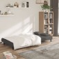 vidaXL Schlafsofa 2-Sitzer mit 2 Kissen Dunkelgrau Samt vidaXL Schlafsofa 2-Sitzer mit 2 Kissen Dunkelgrau Samt