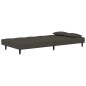 vidaXL Schlafsofa 2-Sitzer mit 2 Kissen Dunkelgrau Samt vidaXL Schlafsofa 2-Sitzer mit 2 Kissen Dunkelgrau Samt