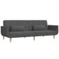 vidaXL Schlafsofa 2-Sitzer mit 2 Kissen Dunkelgrau Stoff vidaXL Schlafsofa 2-Sitzer mit 2 Kissen Dunkelgrau Stoff