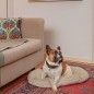 Ferplast Hunde- und Katzenkissen Stuart 89/10 Beige Ferplast Hunde- und Katzenkissen Stuart 89/10 Beige