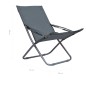 vidaXL Klappbare Strandstühle 2 Stk. Stoff Grau vidaXL Klappbare Strandstühle 2 Stk. Stoff Grau