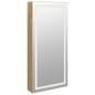 vidaXL Spiegel-Schmuckschrank mit LED-Beleuchtung Wandmontage vidaXL Spiegel-Schmuckschrank mit LED-Beleuchtung Wandmontage