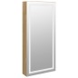 vidaXL Spiegel-Schmuckschrank mit LED-Beleuchtung Wandmontage vidaXL Spiegel-Schmuckschrank mit LED-Beleuchtung Wandmontage