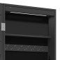 vidaXL Spiegel-Schmuckschrank mit LED-Beleuchtung Wandmontage Schwarz vidaXL Spiegel-Schmuckschrank mit LED-Beleuchtung Wandmontage Schwarz