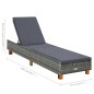 vidaXL Sonnenliege mit Auflage Poly Rattan Grau vidaXL Sonnenliege mit Auflage Poly Rattan Grau