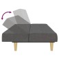 vidaXL Schlafsofa 2-Sitzer Dunkelgrau Stoff vidaXL Schlafsofa 2-Sitzer Dunkelgrau Stoff