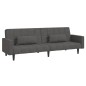 vidaXL Schlafsofa 2-Sitzer mit 2 Kissen Dunkelgrau Stoff vidaXL Schlafsofa 2-Sitzer mit 2 Kissen Dunkelgrau Stoff