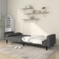 vidaXL Schlafsofa 2-Sitzer mit 2 Kissen Dunkelgrau Stoff vidaXL Schlafsofa 2-Sitzer mit 2 Kissen Dunkelgrau Stoff