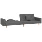vidaXL Schlafsofa 2-Sitzer mit 2 Kissen Dunkelgrau Stoff vidaXL Schlafsofa 2-Sitzer mit 2 Kissen Dunkelgrau Stoff