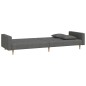 vidaXL Schlafsofa 2-Sitzer mit 2 Kissen Dunkelgrau Stoff vidaXL Schlafsofa 2-Sitzer mit 2 Kissen Dunkelgrau Stoff