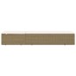 vidaXL Sonnenliege Poly Rattan Braun und Cremeweiß vidaXL Sonnenliege Poly Rattan Braun und Cremeweiß