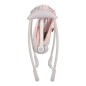 Bo Jungle Babywippe Dolphy Grau und Rosa Bo Jungle Babywippe Dolphy Grau und Rosa