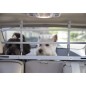 Worldwise Auto-Hundegitter K9K Aluminium Silbern Worldwise Auto-Hundegitter K9K Aluminium Silbern
