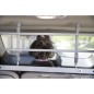 Worldwise Auto-Hundegitter K9K Aluminium Silbern Worldwise Auto-Hundegitter K9K Aluminium Silbern