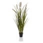 Emerald Künstliche Cattailsgras 85 cm Topf Emerald Künstliche Cattailsgras 85 cm Topf