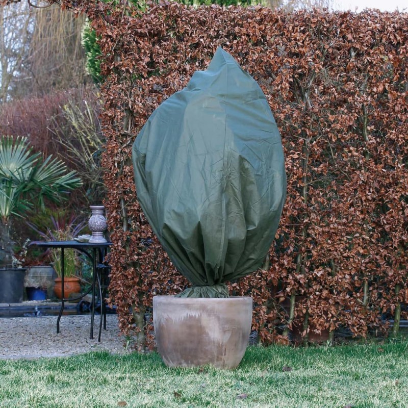 Nature Wintervlies-Frostschutzhauben 2 Stk. 50 g/m² 150x75 cm Grün Nature Wintervlies-Frostschutzhauben 2 Stk. 50 g/m² 150x75 cm Grün