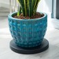 Nature Pflanzenroller Ø39 cm Anthrazit Nature Pflanzenroller Ø39 cm Anthrazit